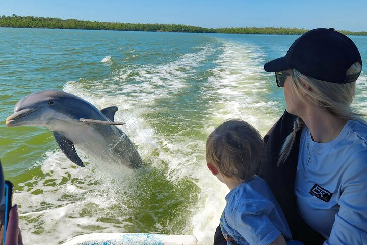 Dolphins love kids!